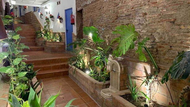 A staircase with a brick wall on one side and a tiled floor. There are potted plants along the steps and a door at the top of the stairs. - Charming apartment in the center of Malaga (Málaga)
