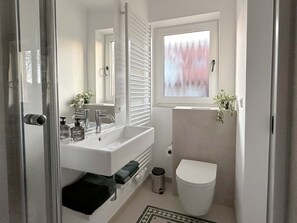 Shower, hair dryer