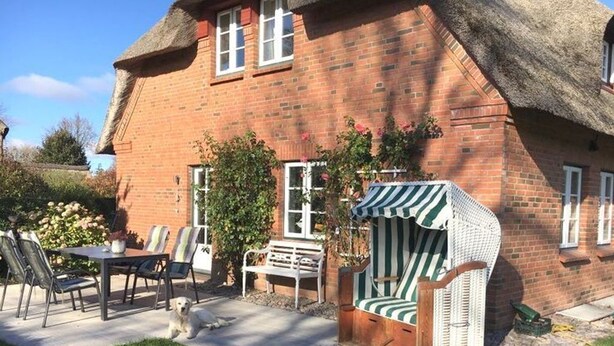 A brick house with a thatched roof, a patio with a table and chairs, a striped outdoor chair, and a small dog.