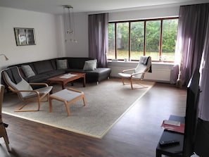 Fernseher
