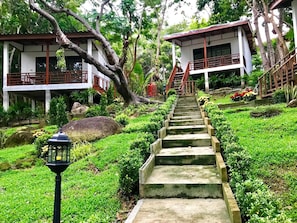 A pathway leading to a building with a staircase, surrounded by lush greenery and a large tree. - Chareena Garden (Koh Lipe)