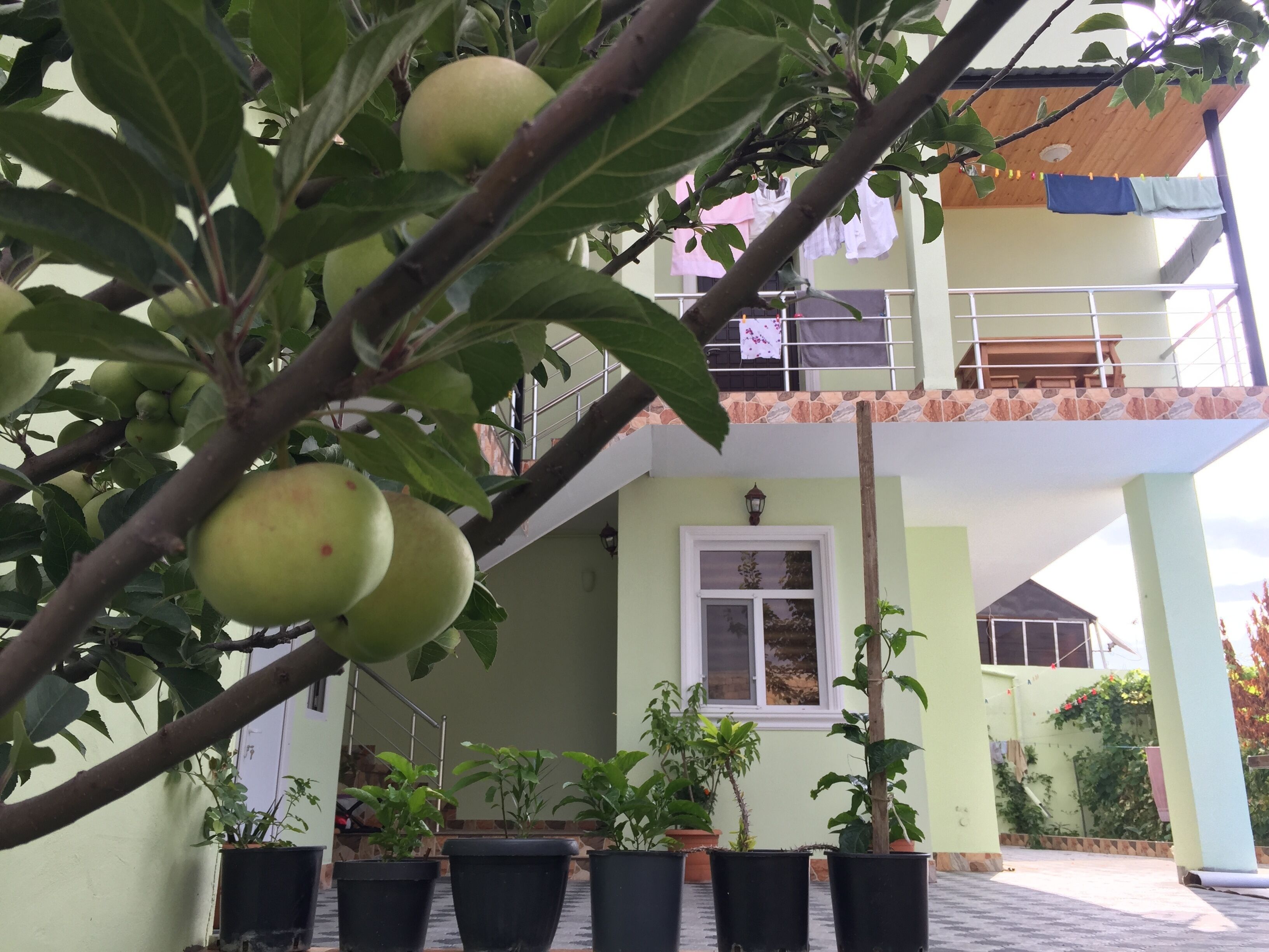 Foto - Hasanovs Villa