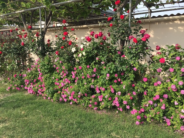 Exterior - Hasanovs Villa (Baku)