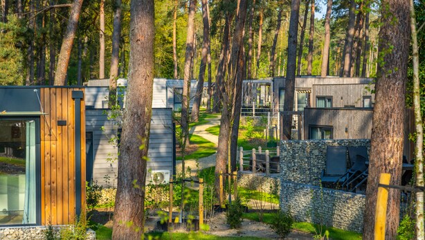 Une zone boisée avec des chalets modernes, un sentier bien tracé et un mur de pierres.