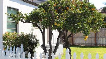 Ferienhaus (2051) | UnterkunftsgelÀnde