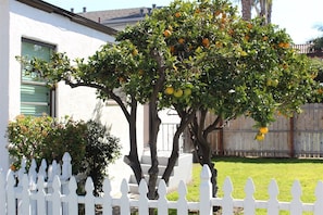 Enjoy a peaceful, atmosphere in this serene residential setting.