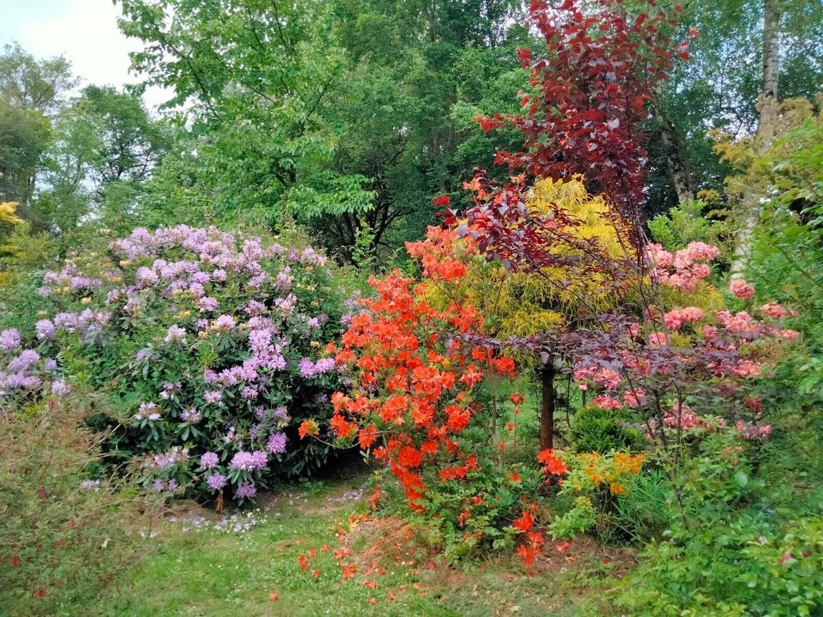 オーナーのプロフィール画像