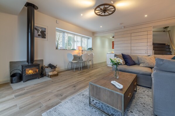 TV, fireplace, stereo