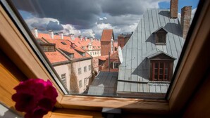 A skylight with a view of traditional buildings and a rose. - Sunny mansard in the heart of Old Town (Centra rajons)