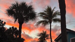 A sunset with palm trees and a blue building.