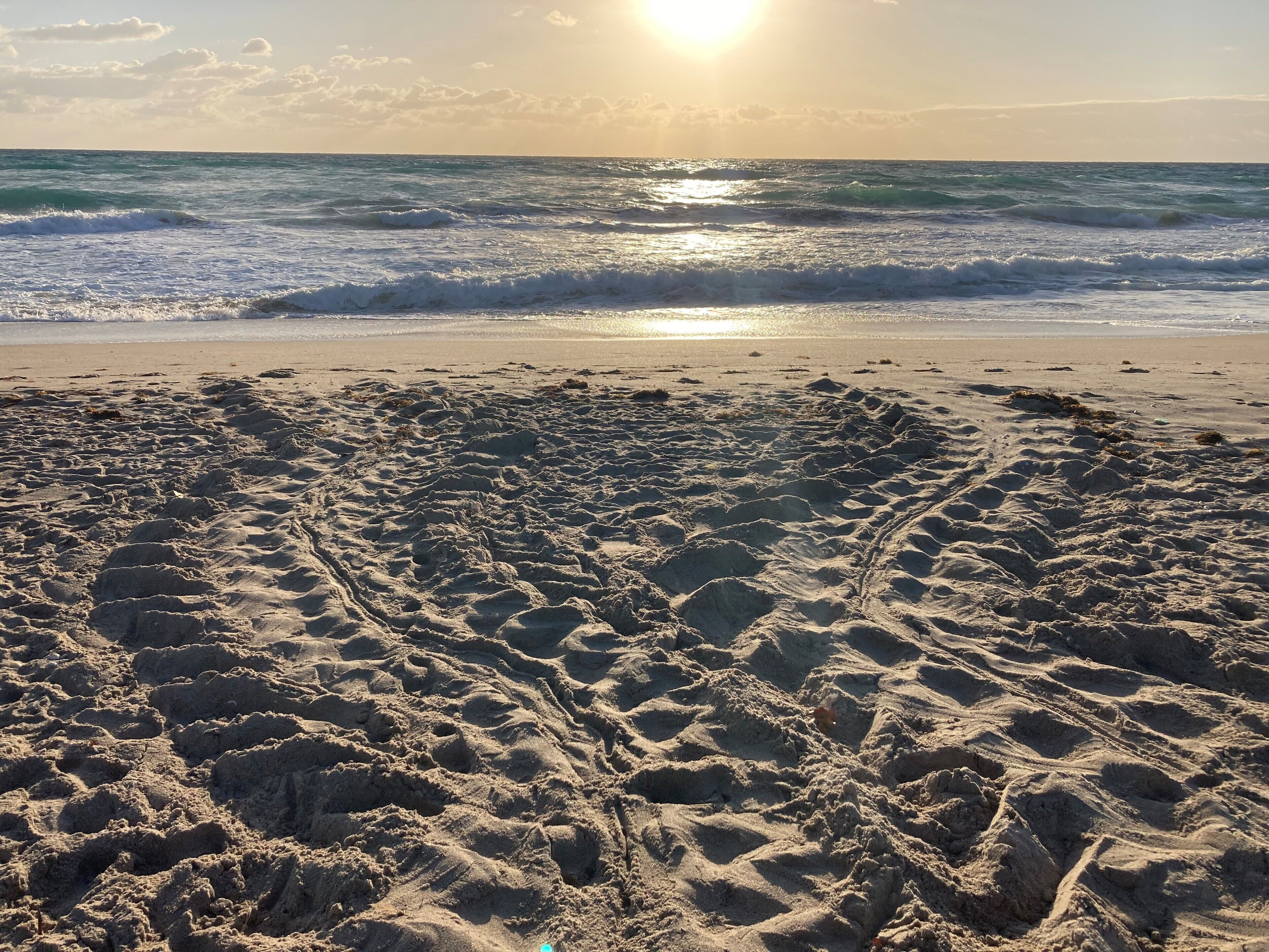A sandy beach with footprints leading to the water.