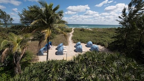 A beach with a path leading to a row of striped beach umbrellas and lounge chairs, surrounded by palm trees and greenery.