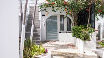 Vista frontal de la propiedad