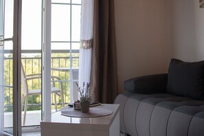 TV - A two bedroom holiday apartment with swimming pool - Lavanda 1 (Buje)