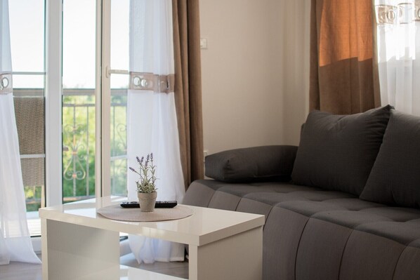 TV - A two bedroom holiday apartment with swimming pool - Lavanda 2 (Buje)