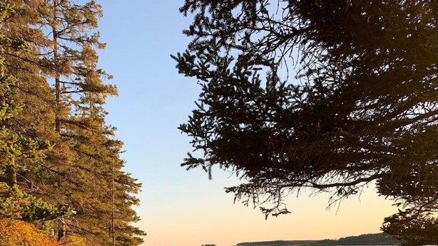 Una playa con una fila de sillas Adirondack, un litoral rocoso y una zona boscosa.