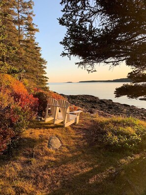 Une plage bordée d’une rangée de chaises Adirondack, un rivage rocheux et une zone boisée.