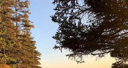Quaint and rustic cottage nestled on the shores of a small Maine village.