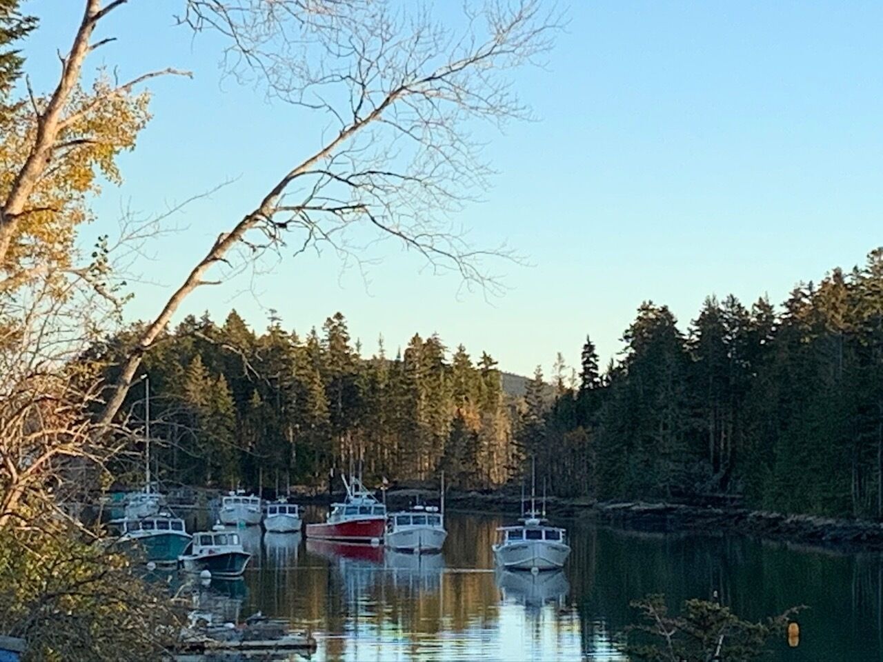 Marina