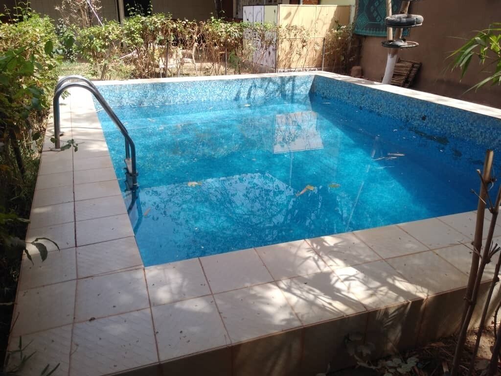 Ein rechteckiger Pool mit Fliesenrand, umgeben von Bepflanzung und einem Gebäude im Hintergrund.