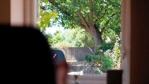 A view through a window with a tree and a fence in the background. - Pass the Keys | Charming and Central Garden Studio Flat | Free Parking (Cambridge)
