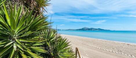 Plage à proximité
