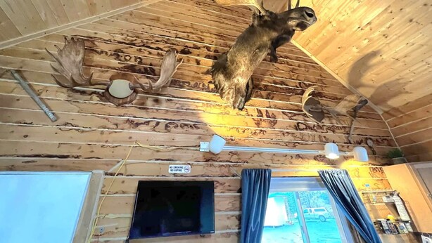 Een kamer met houten wanden, een opgehangen dierenhoofd en een rookverbodsbord.