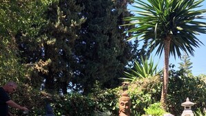 Estanque de carpas con una estatua de Buda y una pagoda en un jardín.