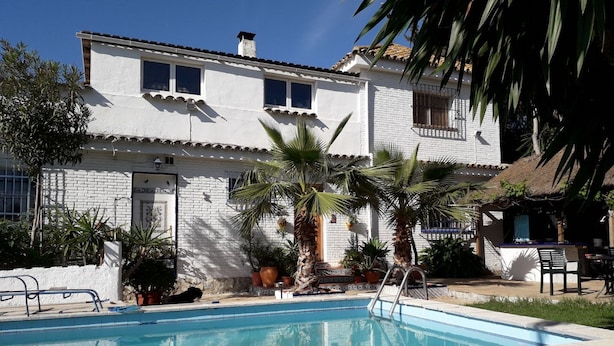 Un edificio blanco con piscina, rodeado de palmeras y plantas en macetas.