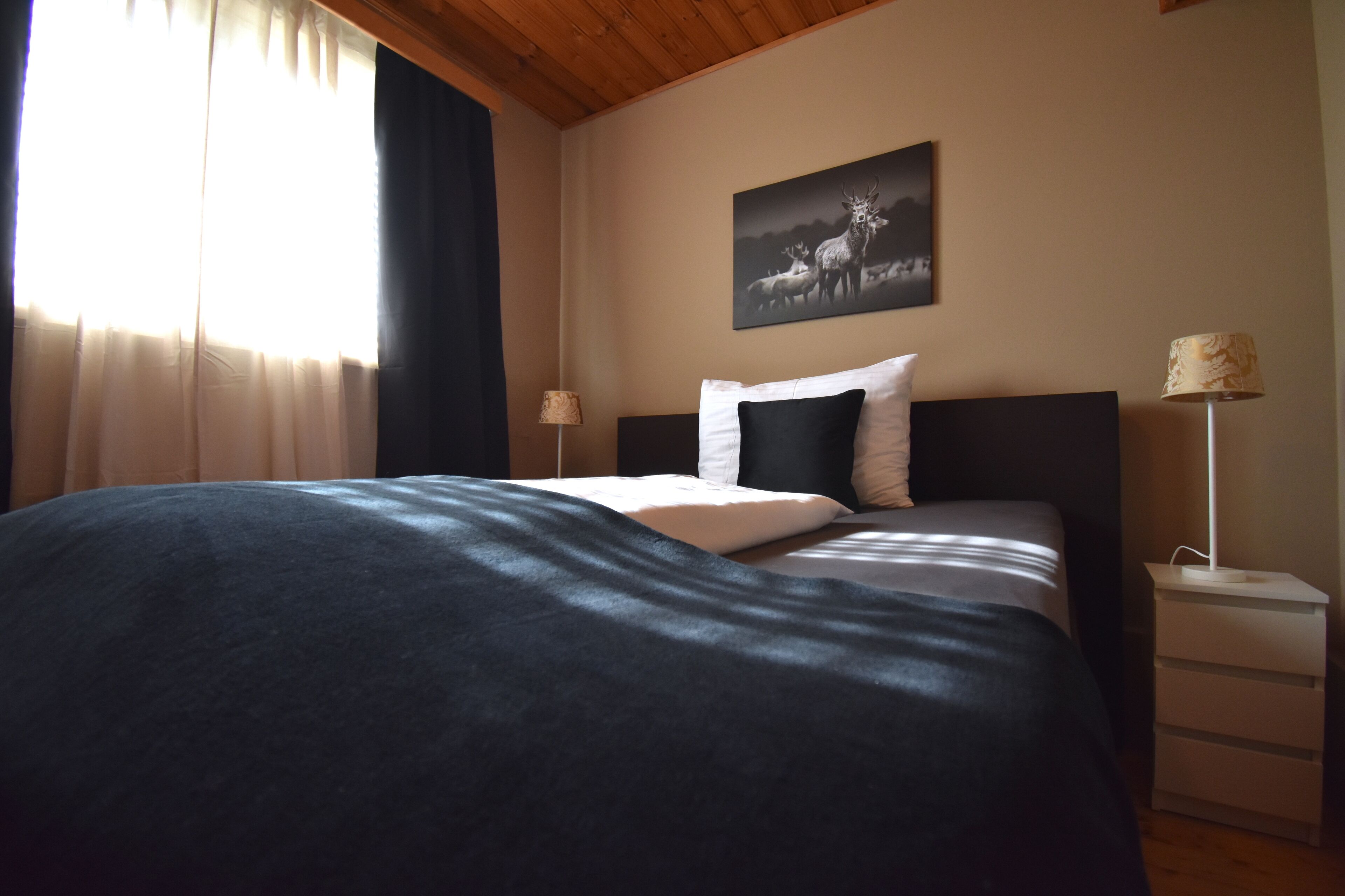 Un letto rifatto con cura, con copriletto scuro, un cuscino bianco e un cuscino nero. Accanto al letto, un comodino con una lampada. Sopra il letto, un quadro che raffigura cervi.