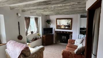 Smart TV, fireplace, DVD player, books