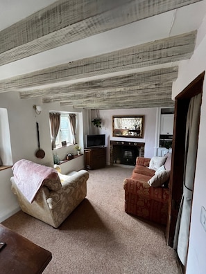Smart TV, chimenea, reproductor de DVD y libros