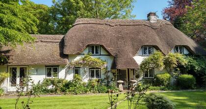 Thatched Eaves