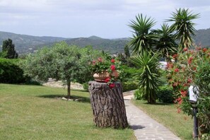 A garden pathway with a rustic tree stump centerpiece, surrounded by lush greenery and flowering plants. - Bilocale Stella (Capoliveri)