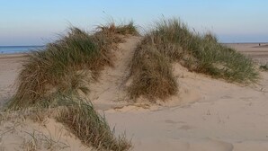 Une plage de sable avec des dunes et un ciel dégagé.
