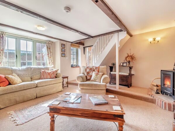 TV connectée, cheminée, lecteur de DVD, livres