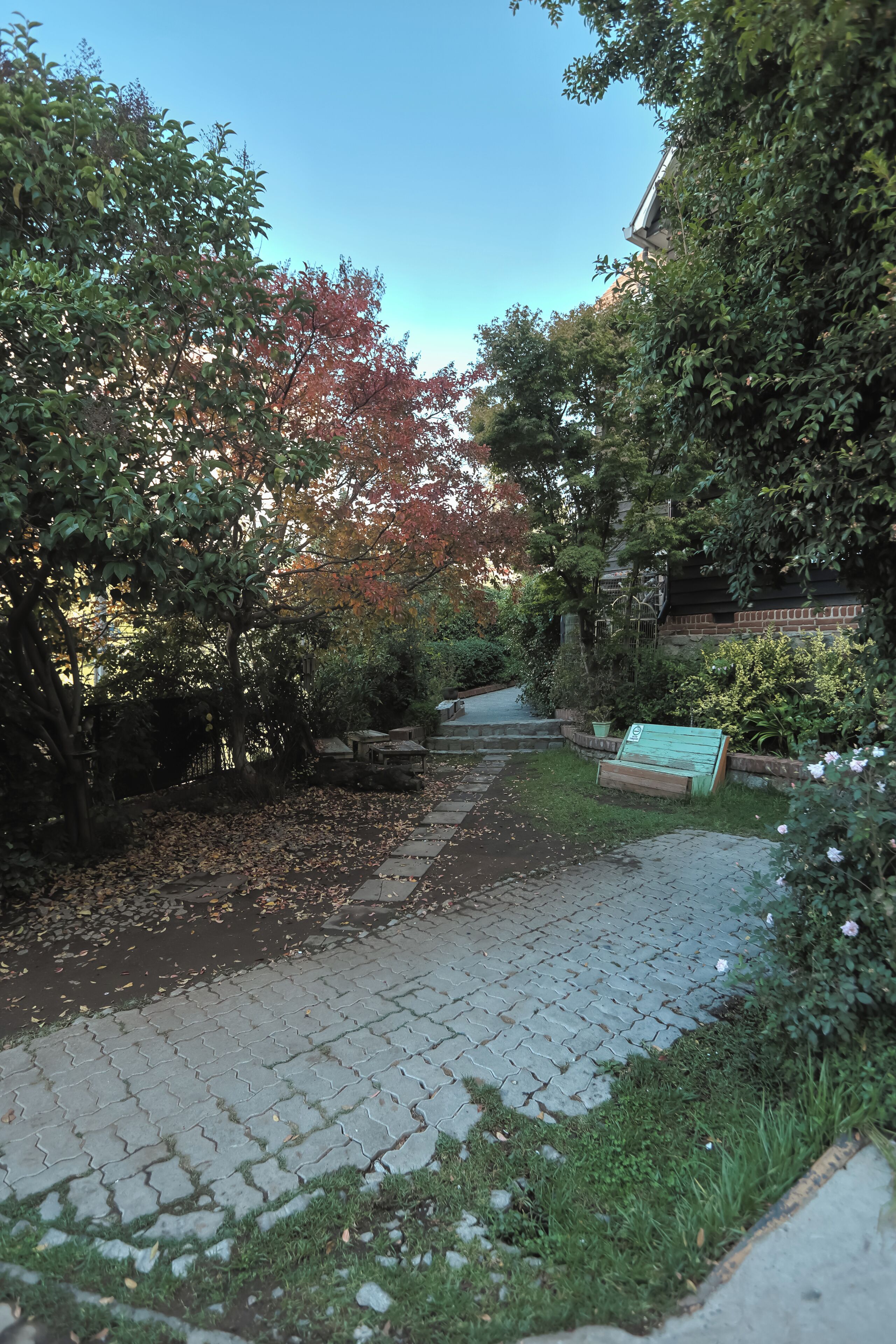 A paved pathway flanked by trees and shrubs, leading to a bench.