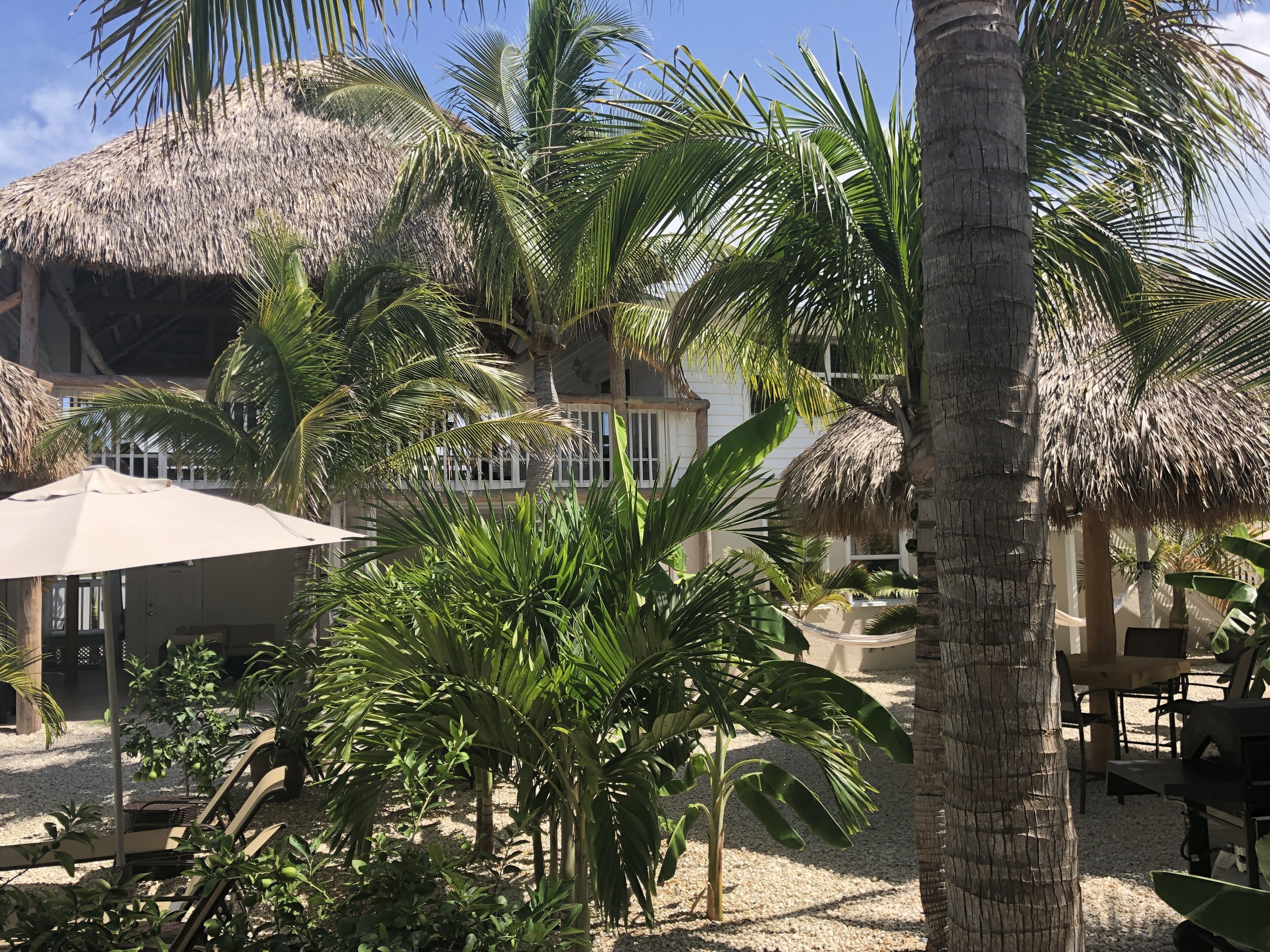 A tropical resort with palm trees, a thatched-roof structure, and outdoor seating.