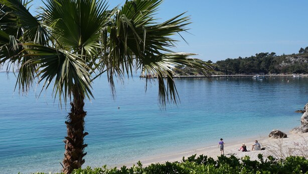 Una platja amb aigua turquesa cristal·lina, palmeres i gent relaxant-se a la riba.