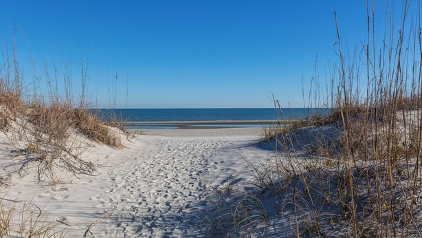 En sandstrand med en klarblå himmel och havet som bakgrund.