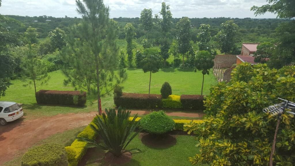 Un paysage verdoyant et luxuriant, agrémenté d’un jardin bien entretenu, d’une allée pavée et d’un bâtiment doté d’un toit rouge.