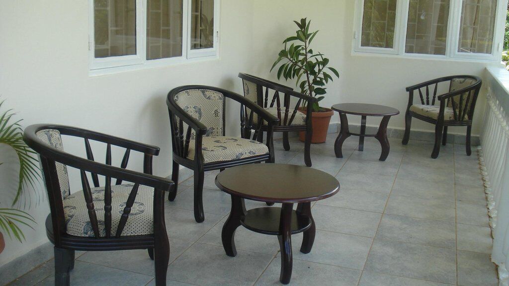 Un patio con cuatro sillas de madera y una pequeña mesa, rodeado de plantas en macetas y ventanas grandes.