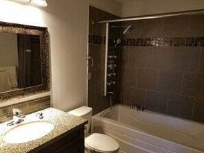 Tina con regadera, secadora de cabello, bidet, toallas 