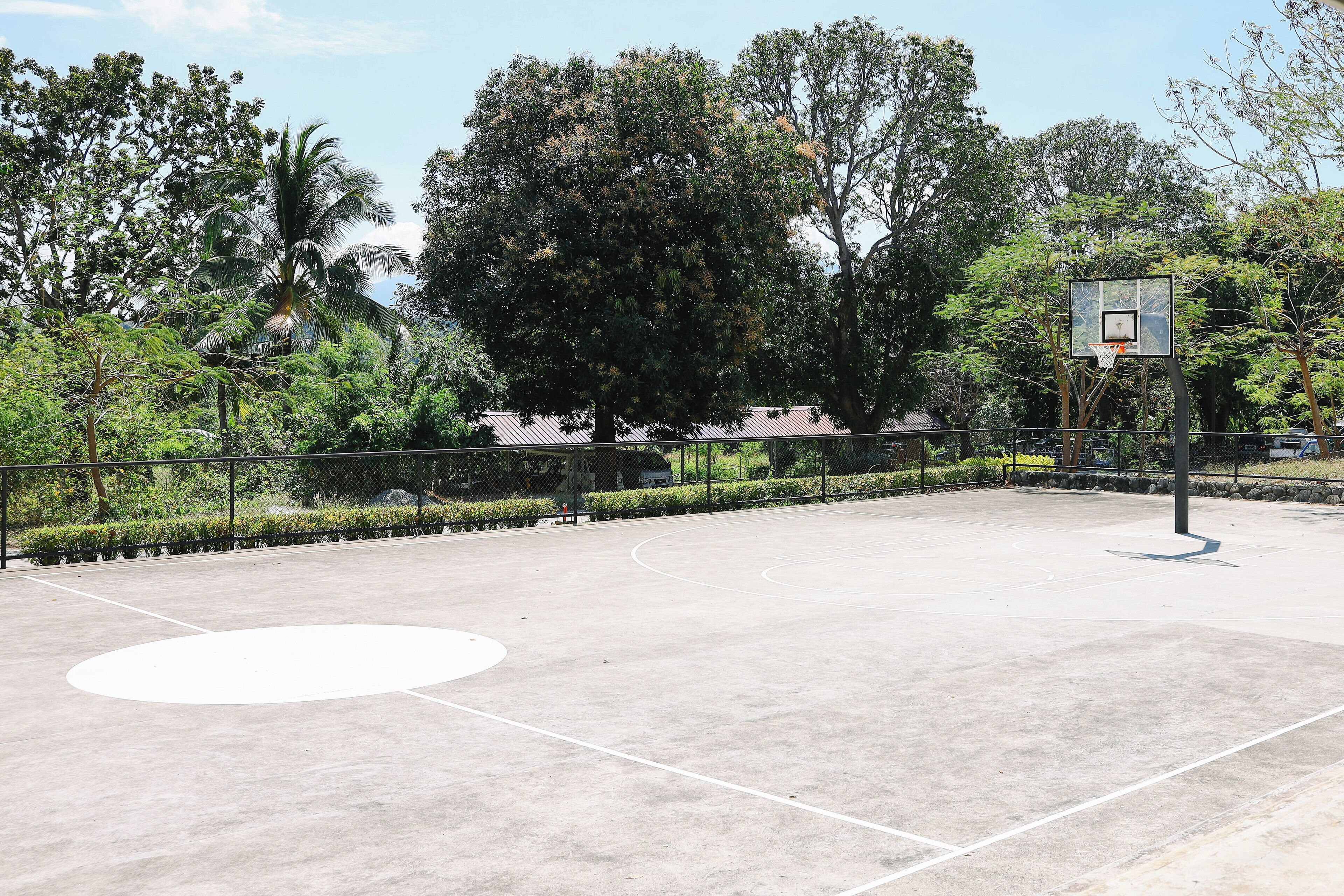 Ein Basketballplatz im Freien, umgeben von Bäumen und einem Zaun.