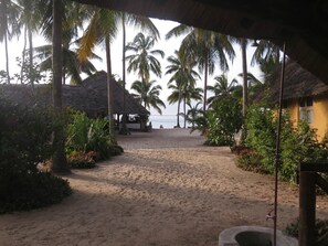 Standard Cottage | Garden - Mike's Beach Cottages (Pangani)