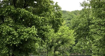 Valkoisamman joen rannoilla, oma w / ramppi, loistava tapaamisiin ja kalastukseen