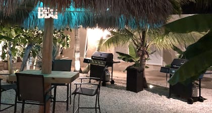 ¡Nuevo en el mercado! Puerta de entrada a Palm Island. Sensación caribeña de Tiki Hut
