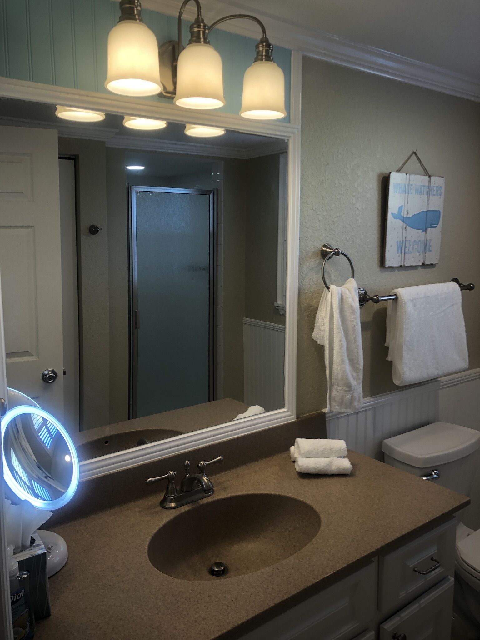 Un baño con un espejo grande, tres luces empotradas, un lavabo, un inodoro y un perchero para toallas.