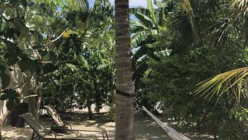 Una palmera con una hamaca, rodeada de diversas plantas tropicales y un espacio de descanso con sillas y una mesa.