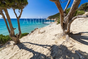 A beach with clear blue water, sandy shore, and trees. - LA TERRAZZA SU SIMIUS – VILLASIMIUS (Villasimius)